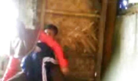 Travestito porno di casalinghe in gangbang con giocattoli