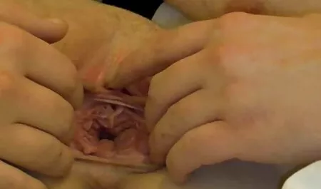 GayCastings-ragazza bionda del college viene videoporno casalinghe scopata