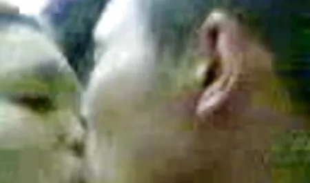 HDVPass succhia e scopa il video porno amatoriali di casalinghe italiane suo cranio